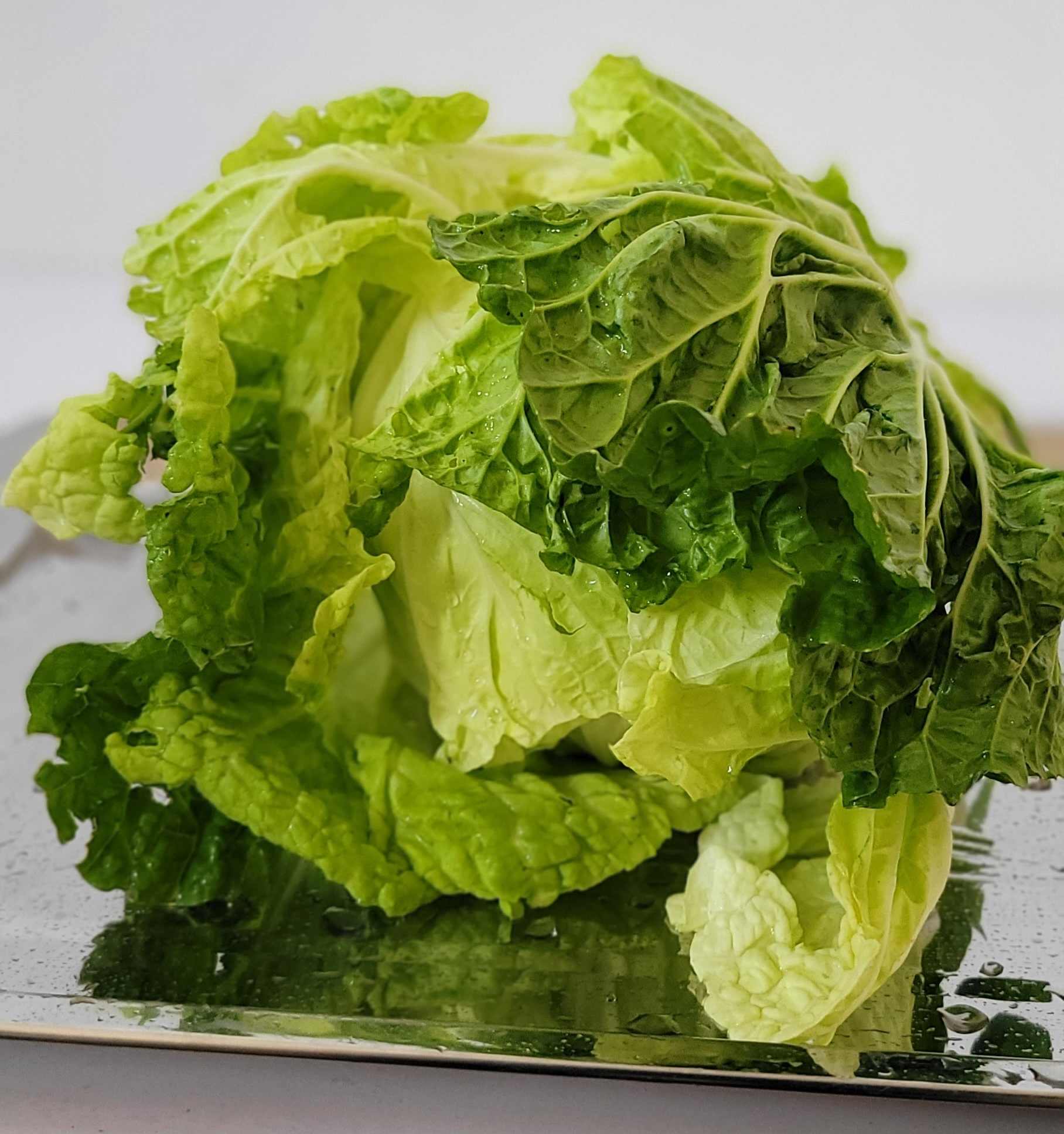 "Discover the delicate ceunch of our premium chinese cabbage -featuring tightly packed, crinckled leaves🍂 with mild, buttery sweetness that makes it the ultimate versatile staple for your next meal. 