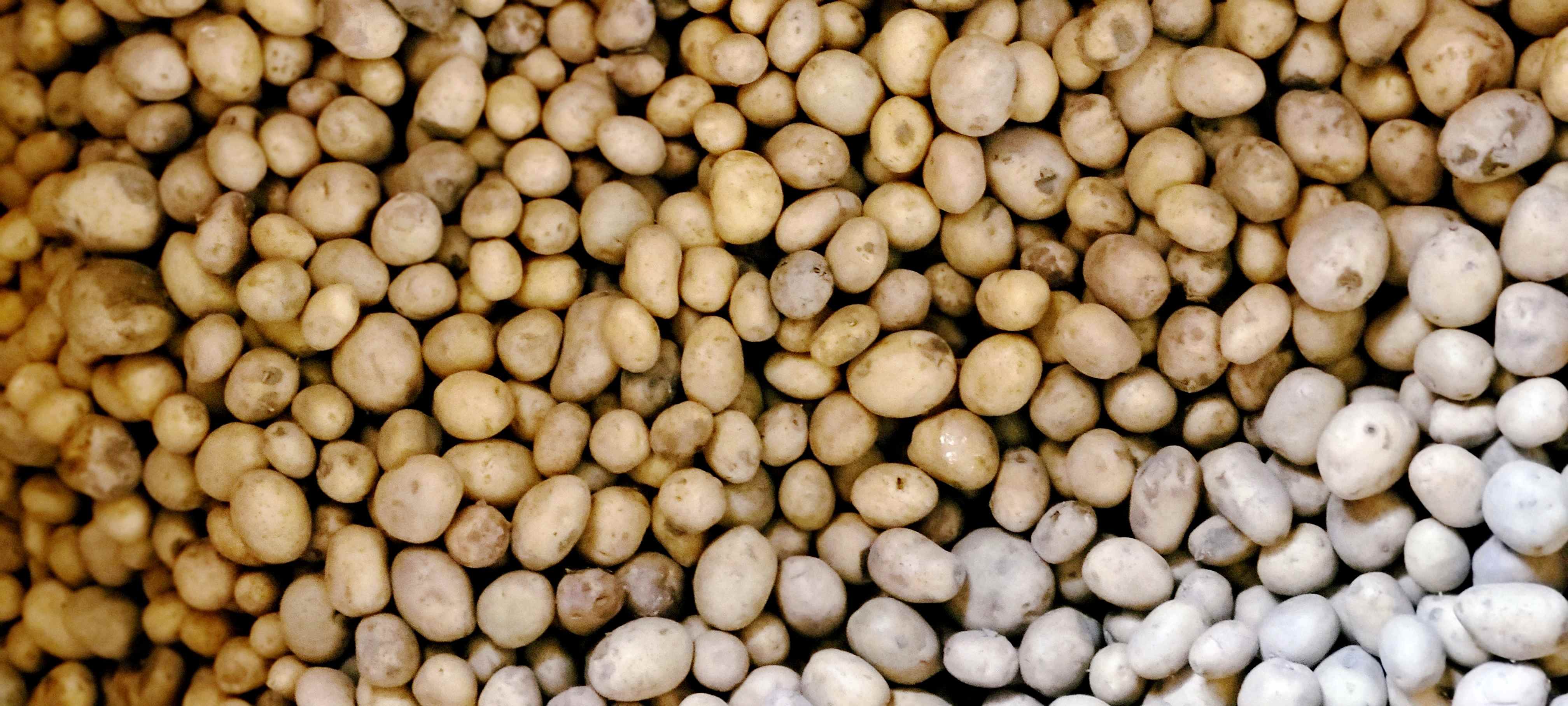 Meet the foundation of true comfort food. Whether mashed, roasted, or in a hearty stew, the Irish potato 🥔  brings a uniquely earthy, butterly flavour & wonderful creamy texture that's truly good.