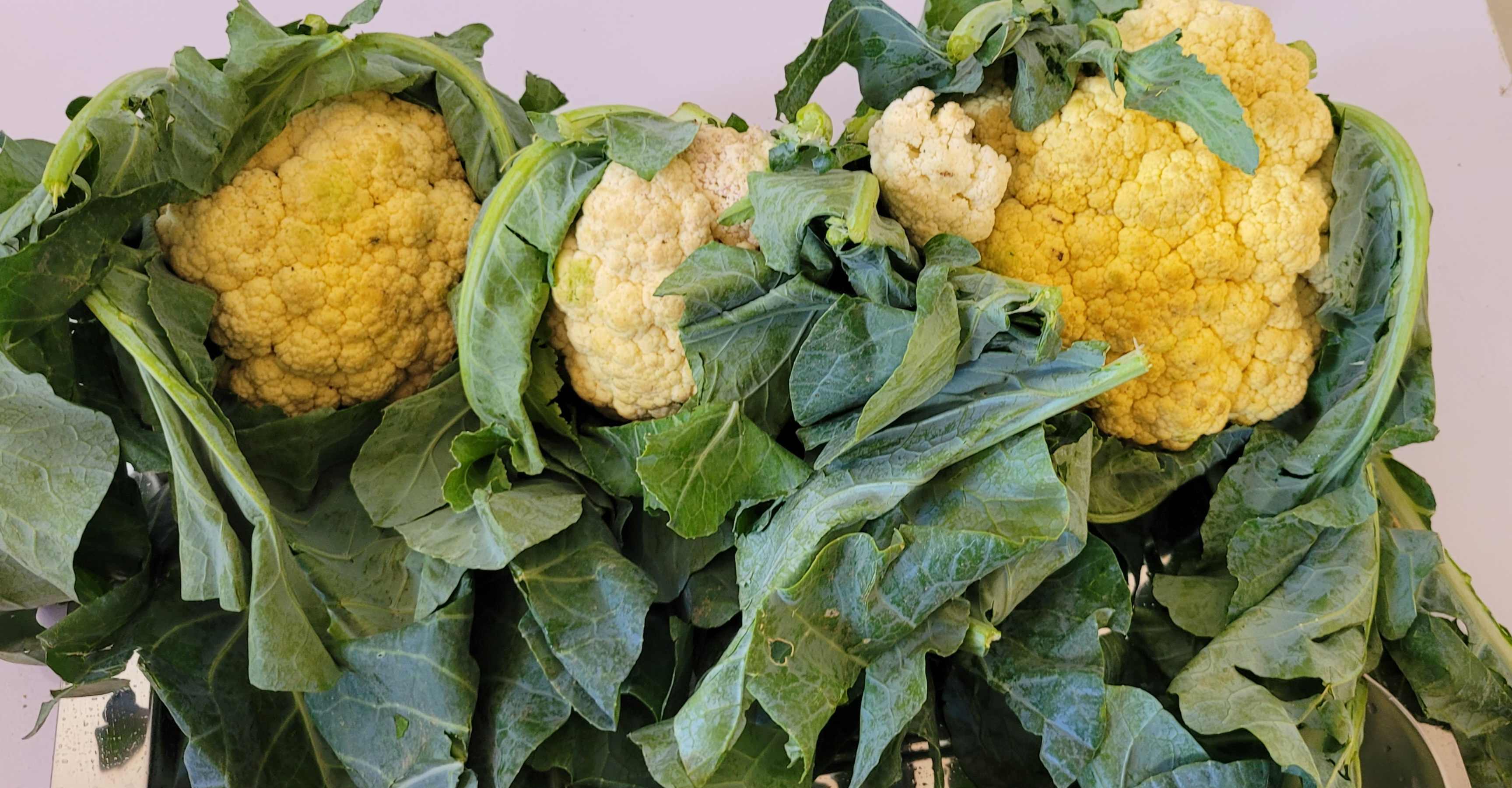 "Bring a touch of elegance to your kitchen with our snow-white tightly-curled cauliflower- offering a mild, nutty undertone & a firm, nutrient dence crunch thats perfect for roasting, ricing & dishes"
