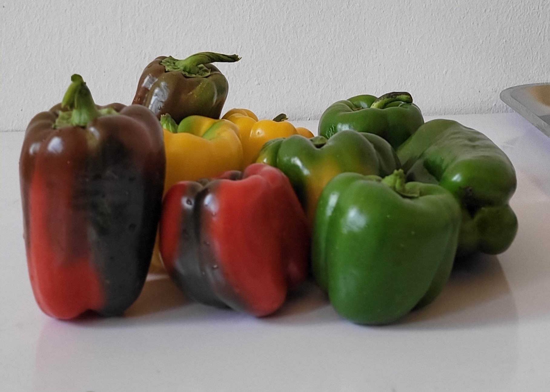 "Brighten up your plate with our vibrant, glossy bell peepers-available in a rainbow🌈 of colors to. add extraordinary visual appeal and a sweet, mild crunch to every meal. "